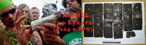 индика Белокуриха