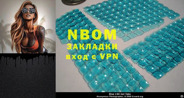 индика Белокуриха