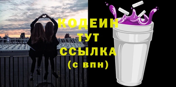 индика Белокуриха