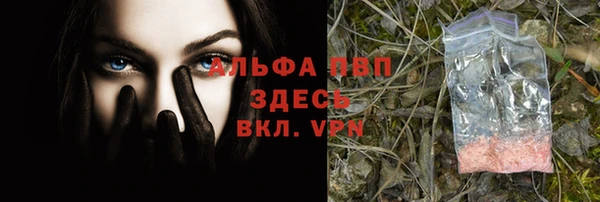 индика Белокуриха