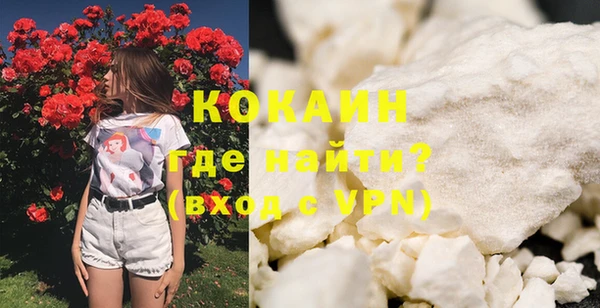 индика Белокуриха