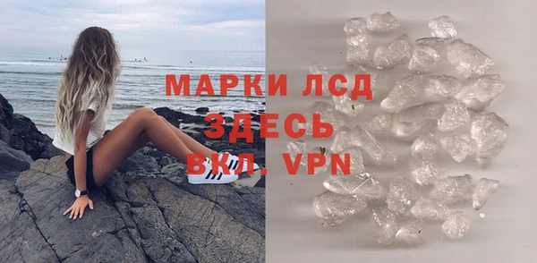 индика Белокуриха