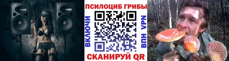 как найти закладки  Бородино  kraken ONION  Псилоцибиновые грибы ЛСД 